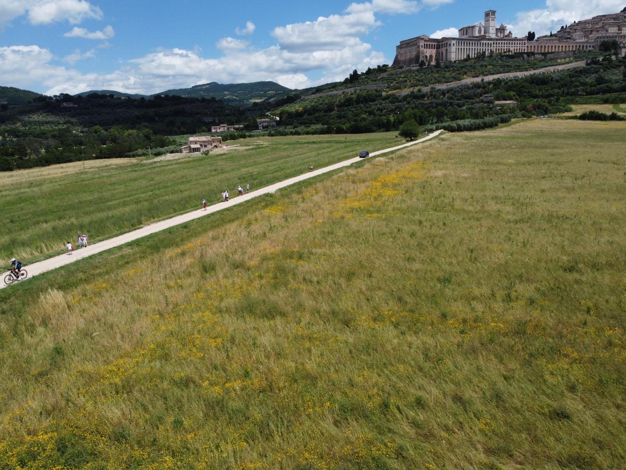 אסיסי Agriturismo Molinella מראה חיצוני תמונה